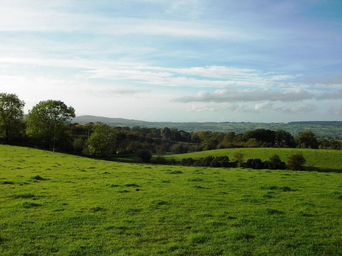 Ballylagan Organic Farm Straid  Dış mekan fotoğraf