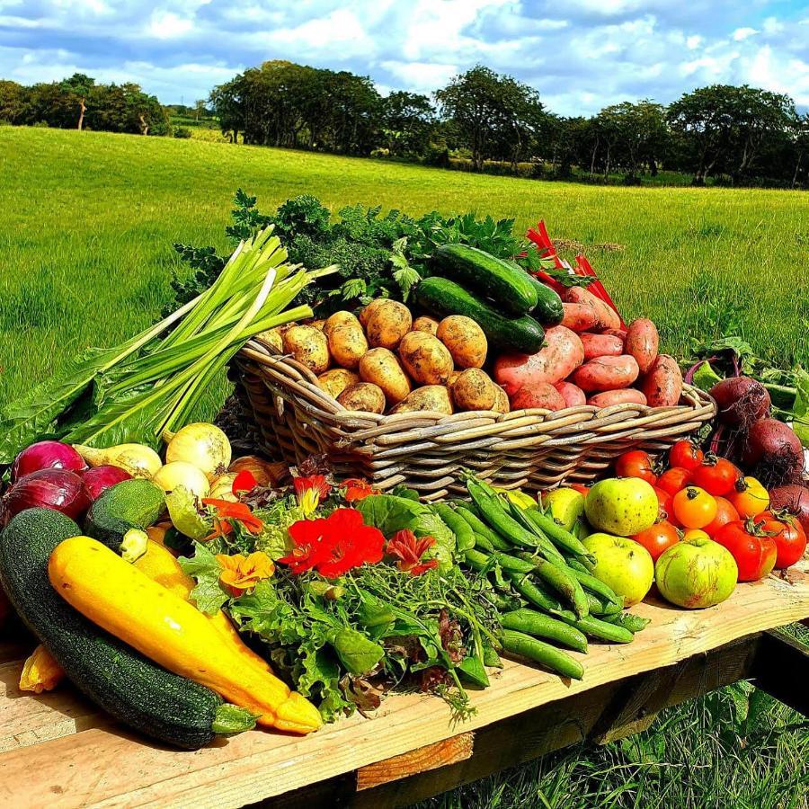 Ballylagan Organic Farm Straid  Dış mekan fotoğraf