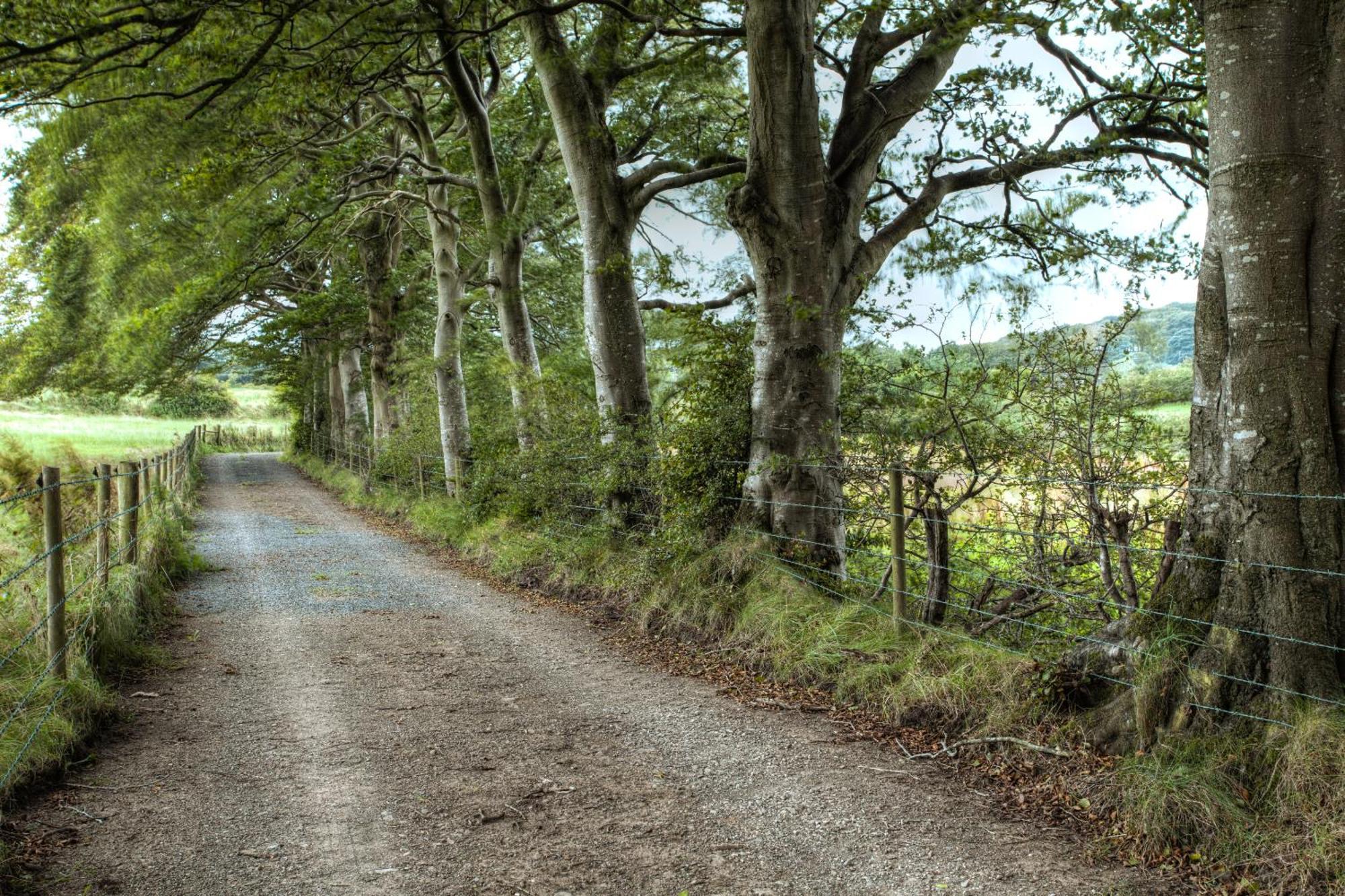 Ballylagan Organic Farm Straid  Oda fotoğraf